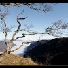 20121119_0036